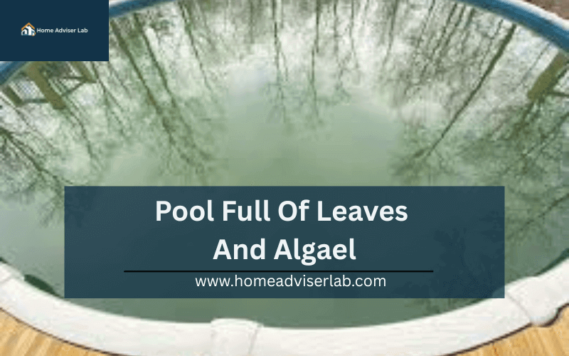 Pool Full Of Leaves And Algae-FI