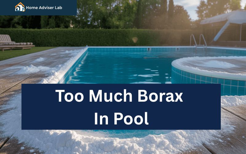 Too Much Borax In Pool