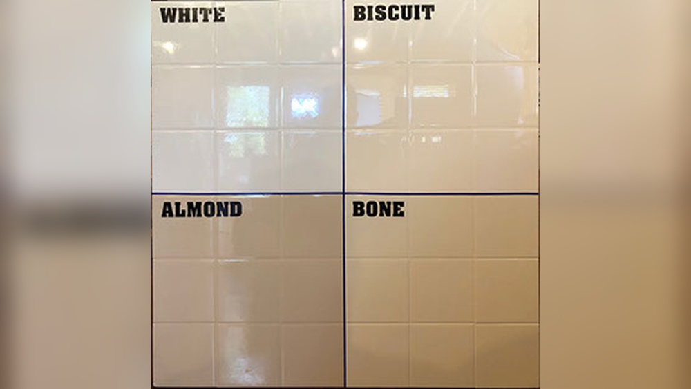 Bone Vs Biscuit Color