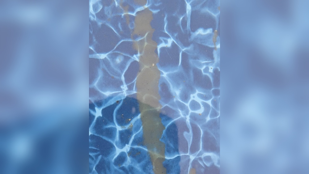 Brown Dust On Bottom Of Pool