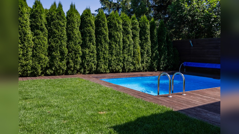 Fence Around Pool Or Whole Yard
