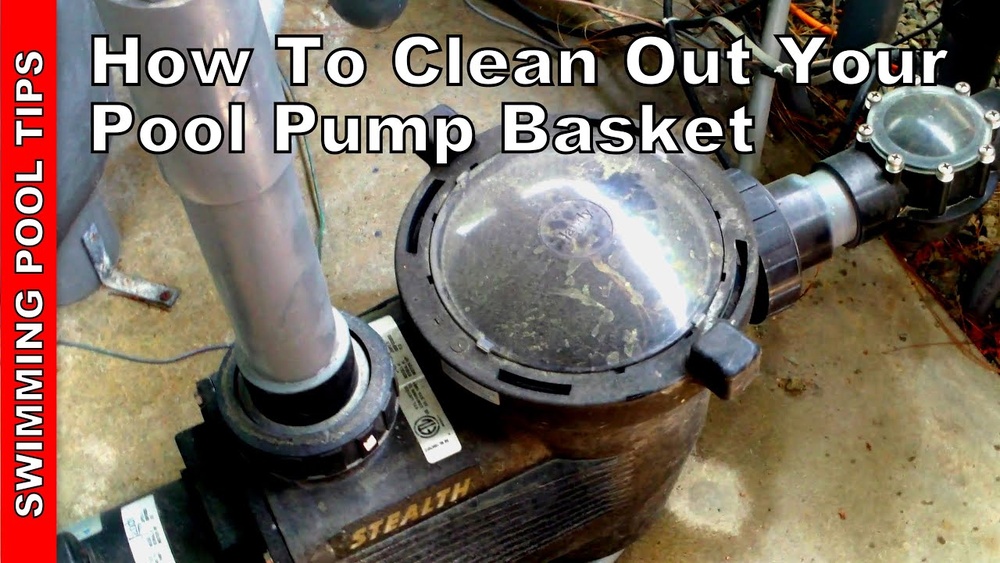 How Often To Clean Pool Pump Basket