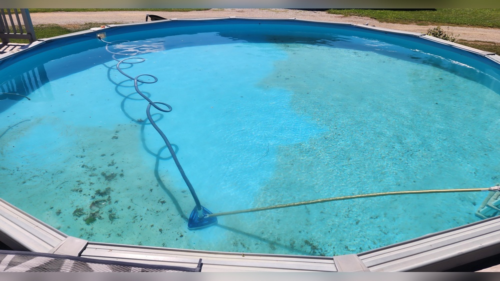 Pictures Of Dead Algae In Pool