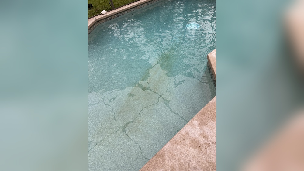 Too Much Ascorbic Acid In Pool
