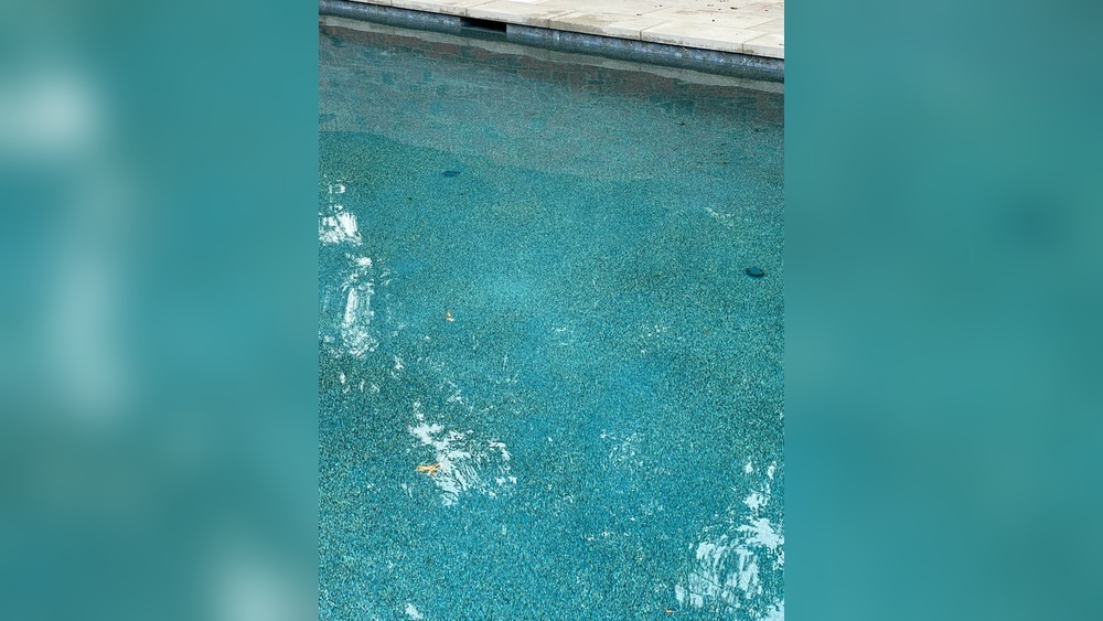 Wet Edge Pool Finish Problems