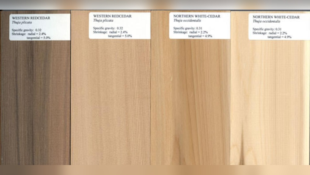White Cedar Vs Red Cedar