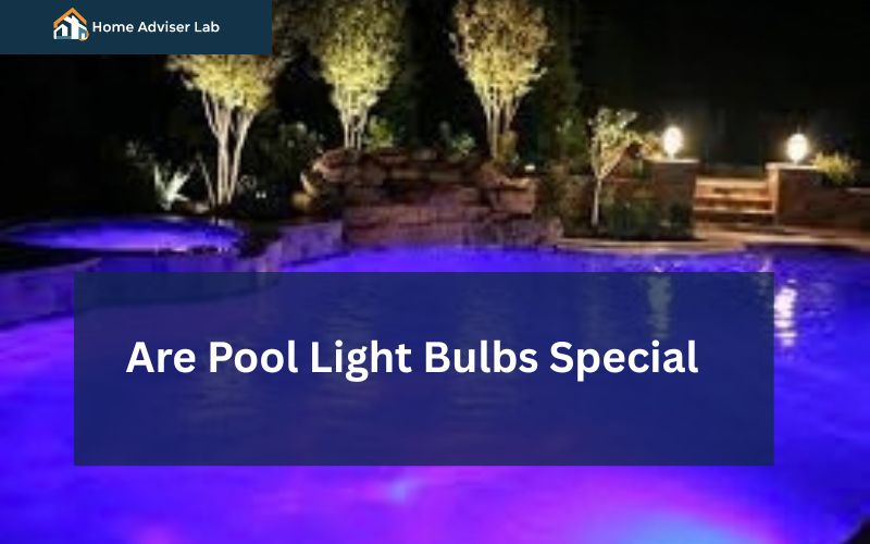 Are Pool Light Bulbs Special-FI