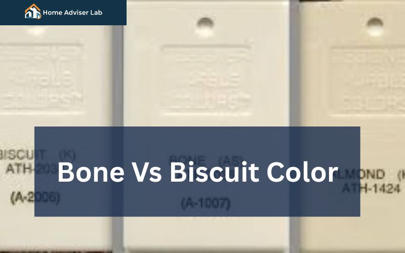 Bone Vs Biscuit Color-FI