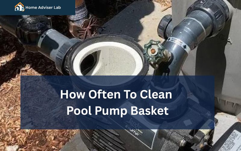 How Often To Clean Pool Pump Basket-FI