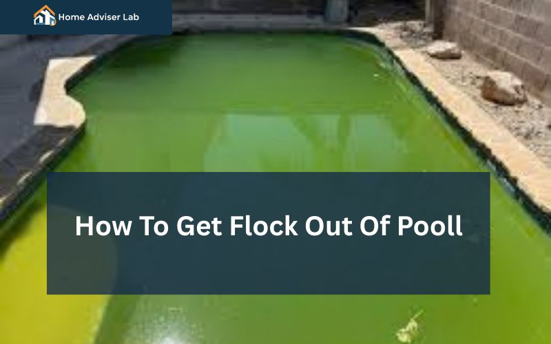 How To Get Flock Out Of Pool-FI