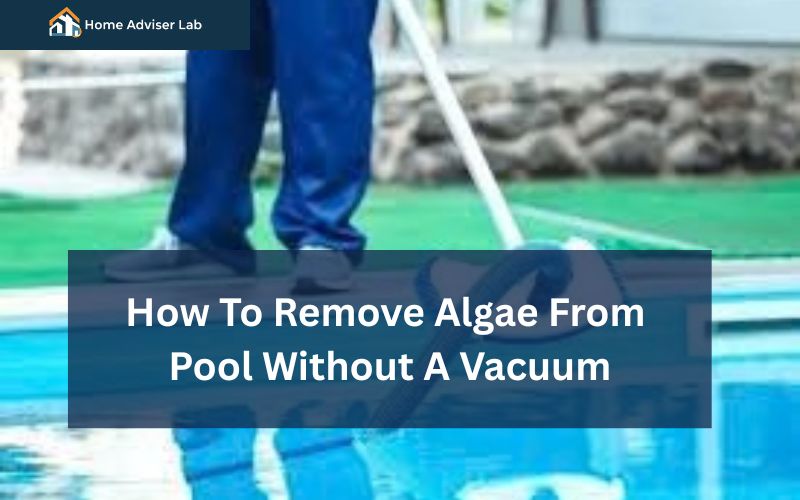 How To Remove Algae From Pool Without A Vacuum-FI
