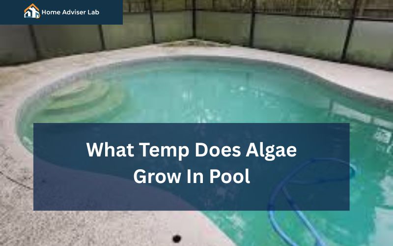 What Temp Does Algae Grow In Pool-FI