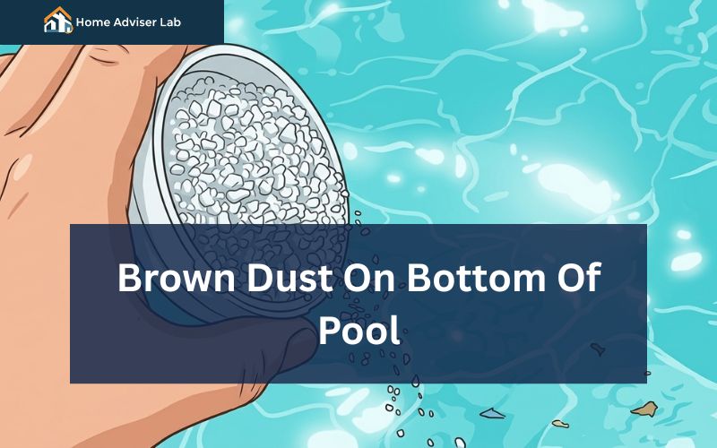 Brown Dust On Bottom Of Pool-FI