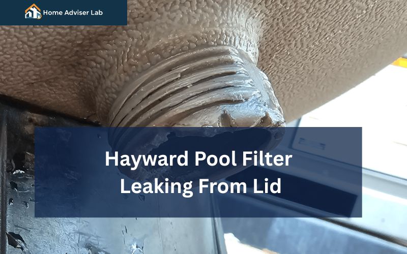 Hayward Pool Filter Leaking From Lid-fi