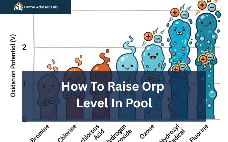 How To Raise Orp Level In Pool-FI