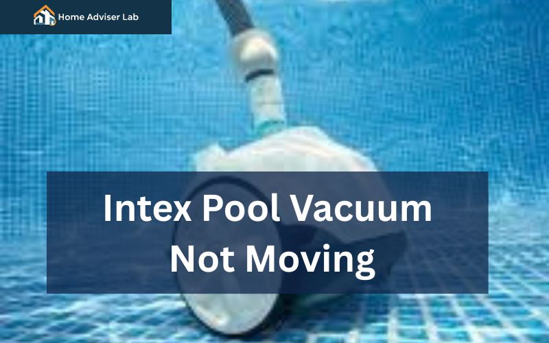 Intex Pool Vacuum Not Moving-FI