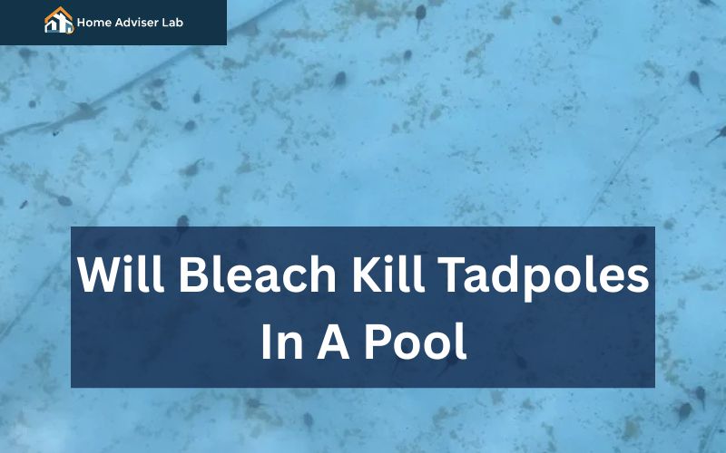 Will Bleach Kill Tadpoles In A Pool-FI