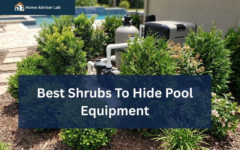 Best Shrubs To Hide Pool Equipment-FI