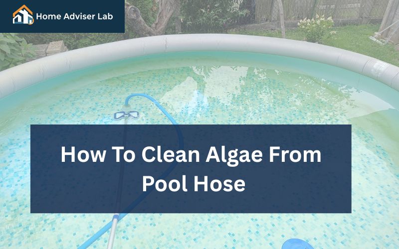 How To Clean Algae From Pool Hose-FI