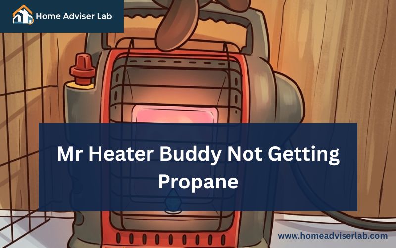 Mr Heater Buddy Not Getting Propane-FI