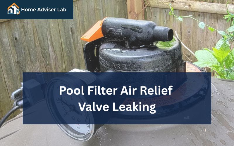 Pool Filter Air Relief Valve Leaking-FI