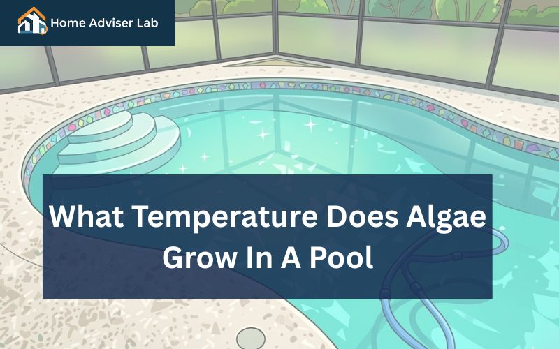 What Temperature Does Algae Grow In A Pool-FI