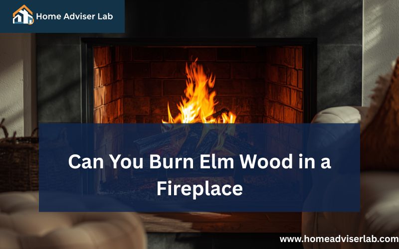 Can You Burn Elm Wood in a Fireplace-FI