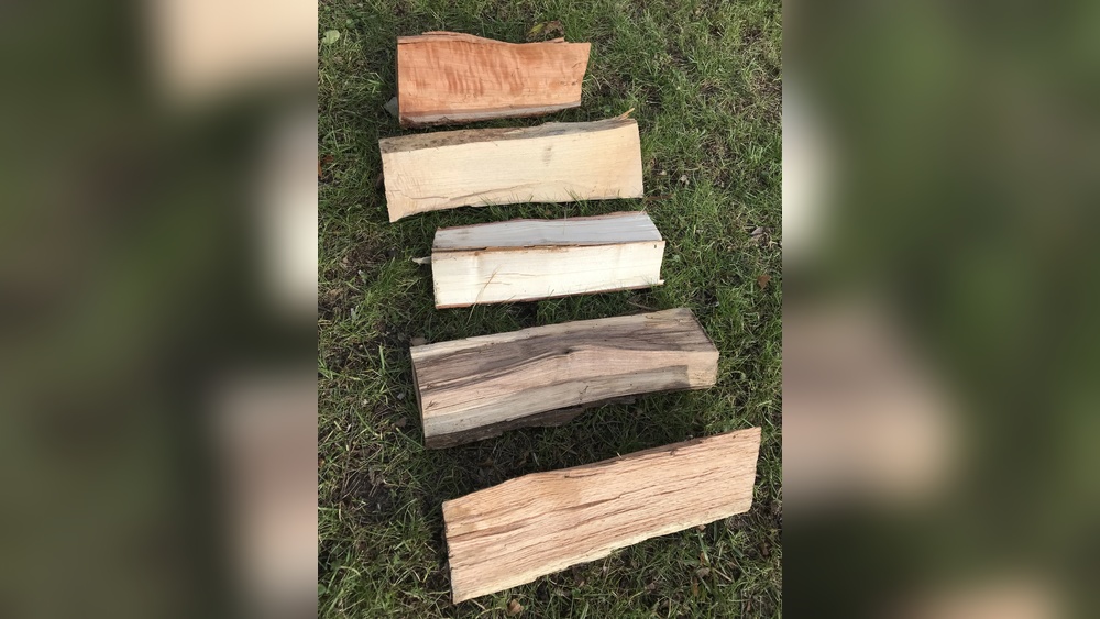 Can You Burn Locust Wood in a Fireplace