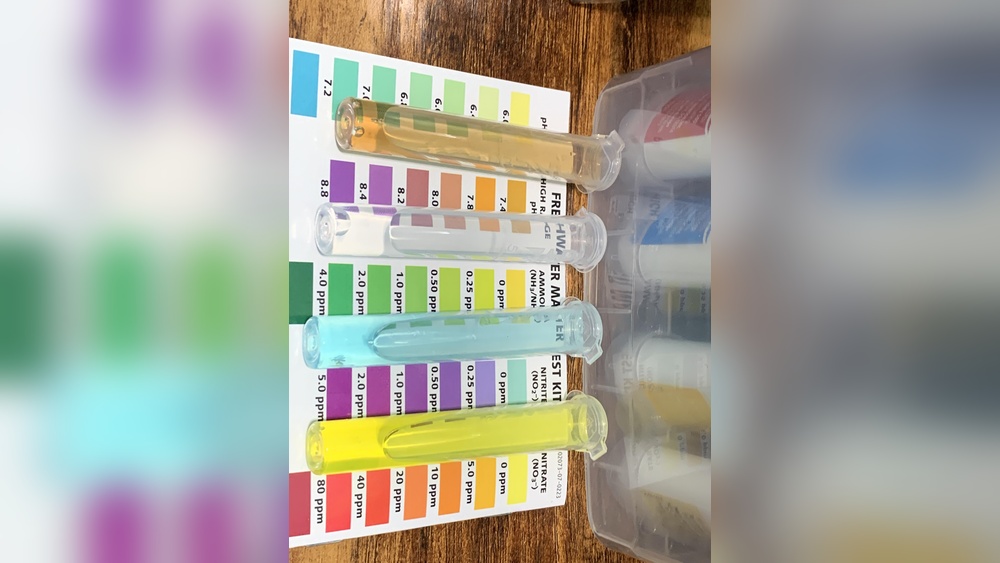 Test Strips Vs Drops