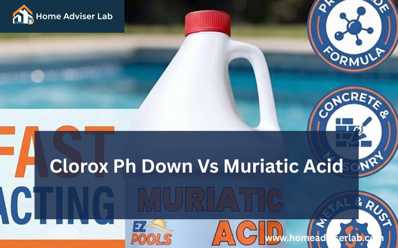 Clorox Ph Down Vs Muriatic Acid-FI
