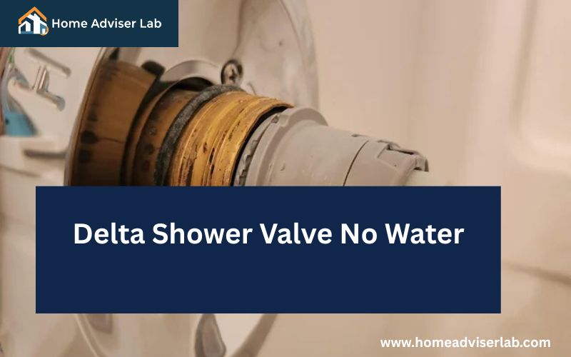 Delta Shower Valve No Water-FI