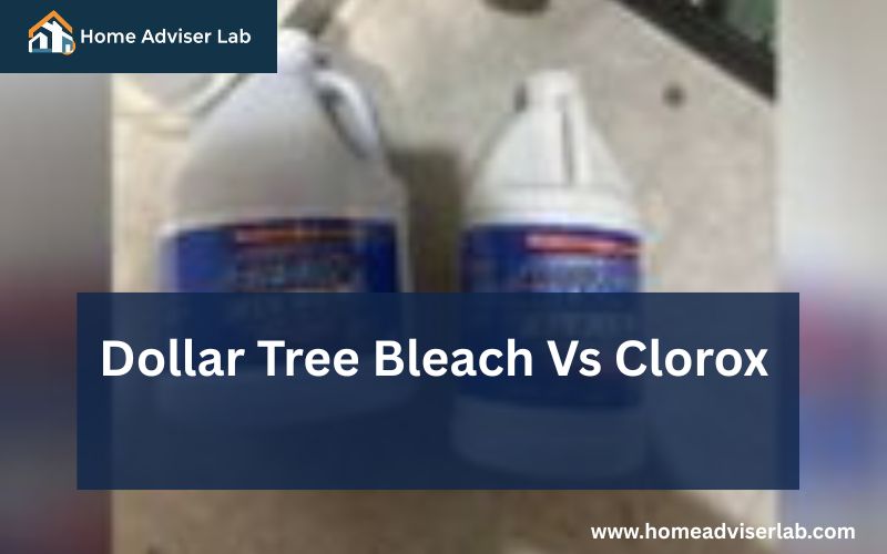 Dollar Tree Bleach Vs Clorox-FI