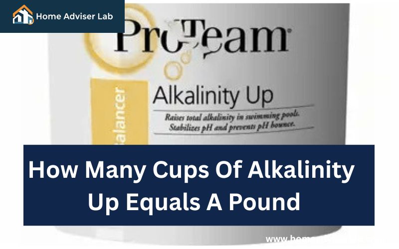 How Many Cups Of Alkalinity Up Equals A Pound-FI