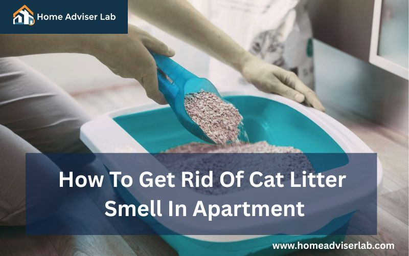 How To Get Rid Of Cat Litter Smell In Apartment-FI