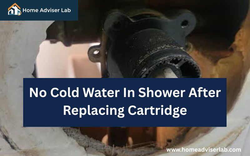 No Cold Water In Shower After Replacing Cartridge-FI