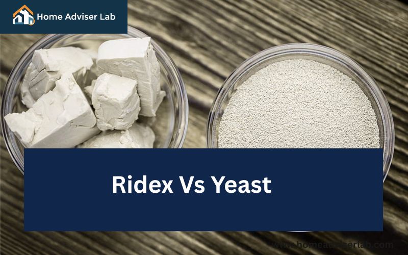 Ridex Vs Yeast-FI