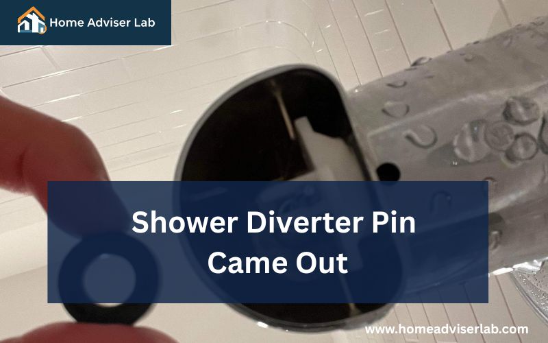 Shower Diverter Pin Came Out-FI