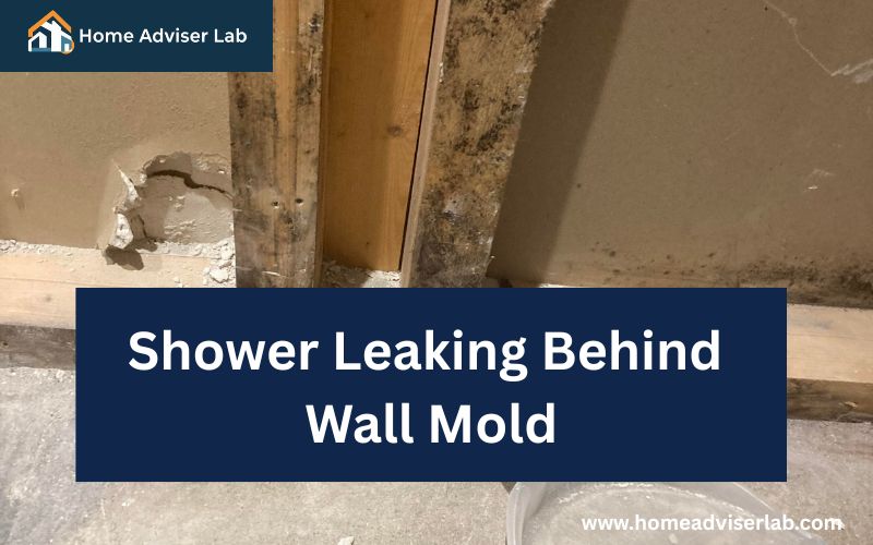 Shower Leaking Behind Wall Mold-FI
