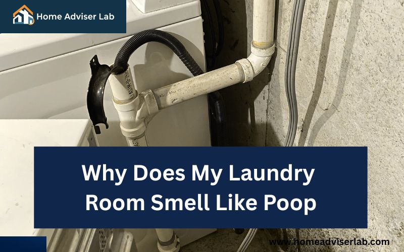 Why Does My Laundry Room Smell Like Poop-FI
