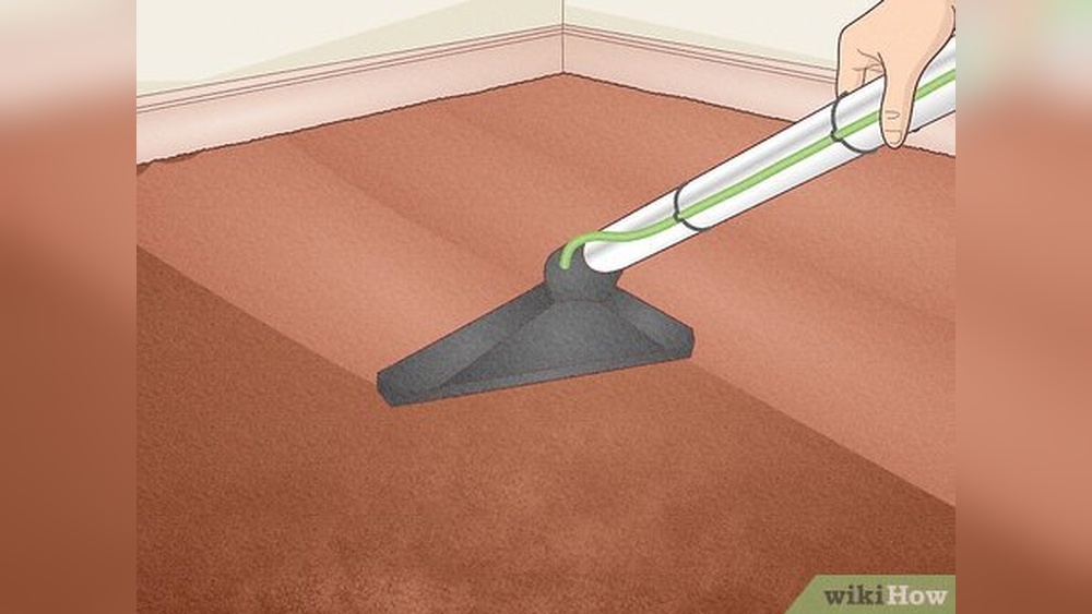 How To Remove Human Hair From Carpet Without Vacuum