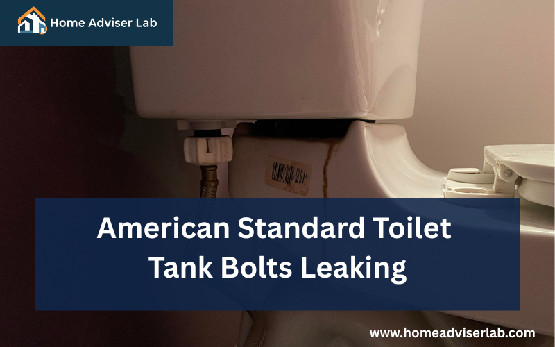 American Standard Toilet Tank Bolts Leaking-FI