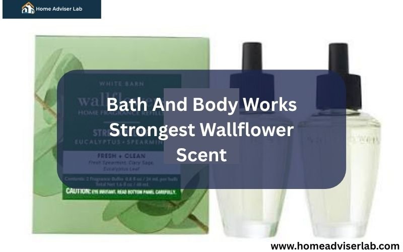 Bath And Body Works Strongest Wallflower Scent-FI