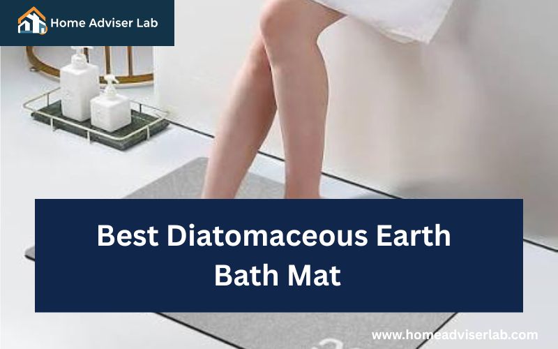 Best Diatomaceous Earth Bath Mat-FI