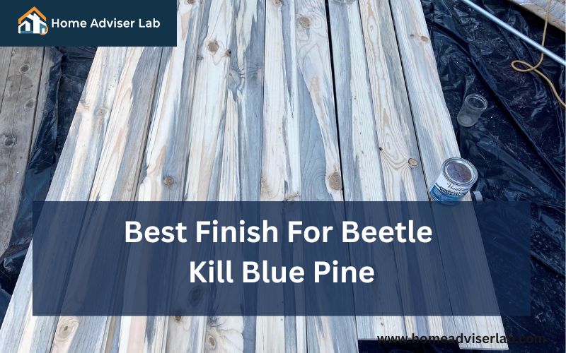 Best Finish For Beetle Kill Blue Pine-FI