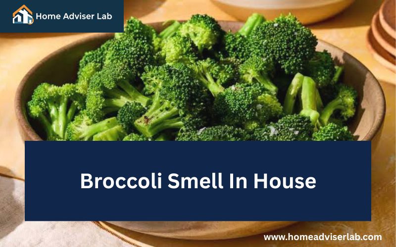 Broccoli Smell In House-FI