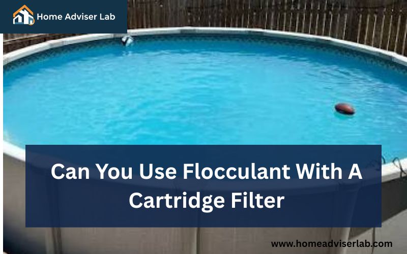Can You Use Flocculant With A Cartridge Filter-FI