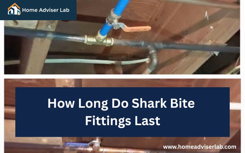 How Long Do Shark Bite Fittings Last-FI