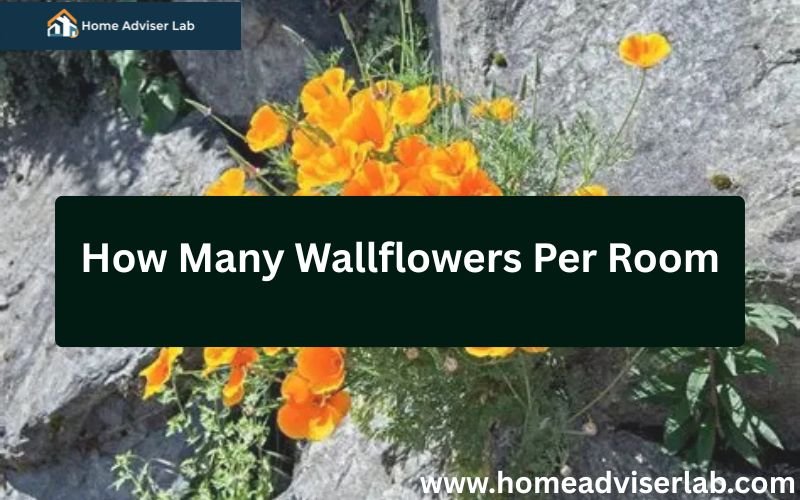 How Many Wallflowers Per Room-FI