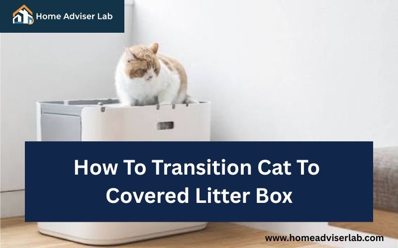 How To Transition Cat To Covered Litter Box-FI