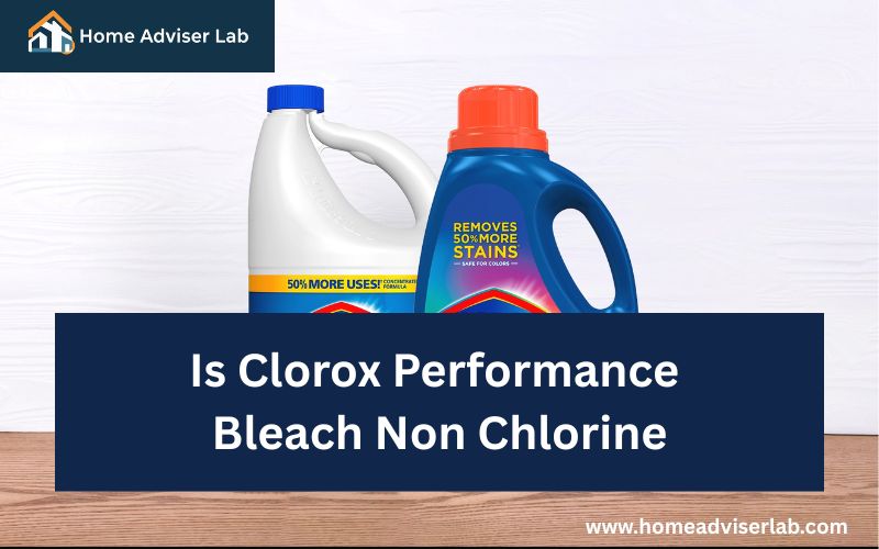 Is Clorox Performance Bleach Non Chlorine-FI